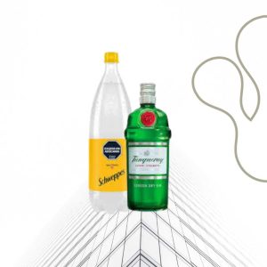 Combo Gin Tanqueray + Agua Tonica